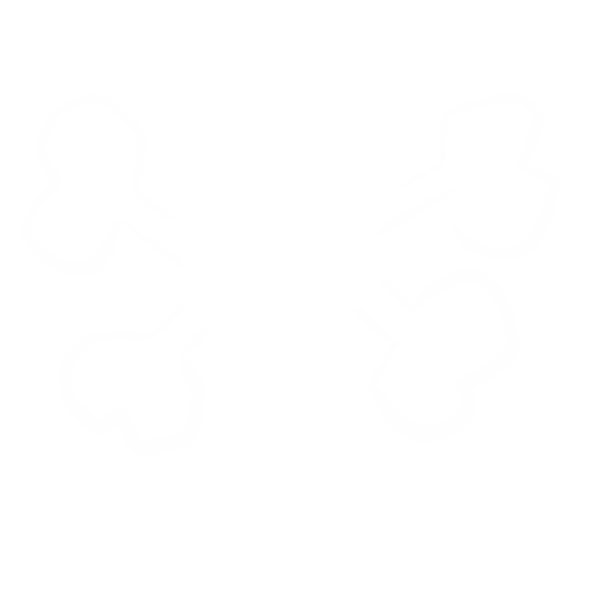 Silvermace Studios